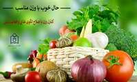 چاقی بستر اکثر بیماریها است / بیماریهای غیرواگیریکی از علت های اصلی مرگ ومیر به شمار می رود.